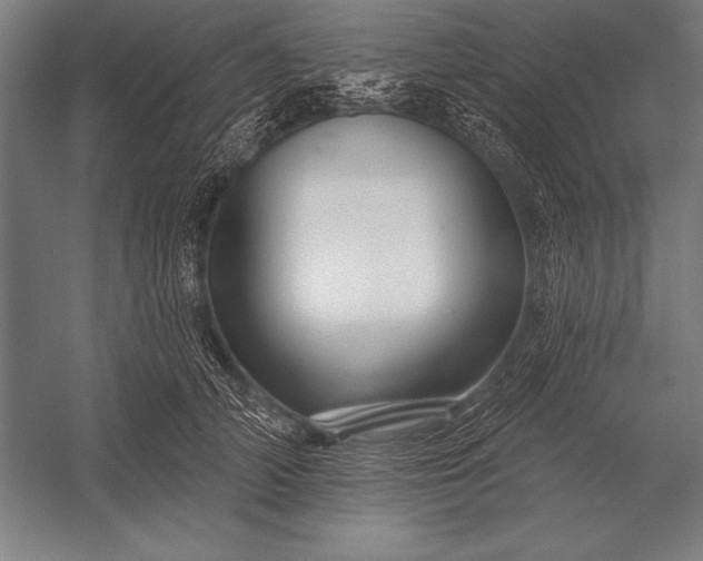 X0000053020706200507221340