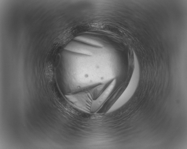 X0000053020707200507221340