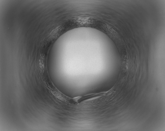 X0000053020710200507221340