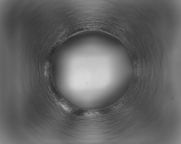 X0000053020712200507221339