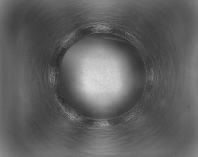 X0000053020715200507221339
