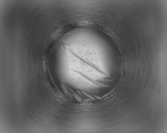 X0000053020716200507221339