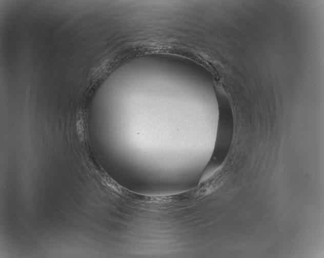 X0000053020720200507221339