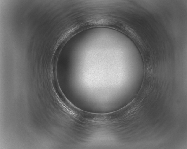 X0000053020725200507221339