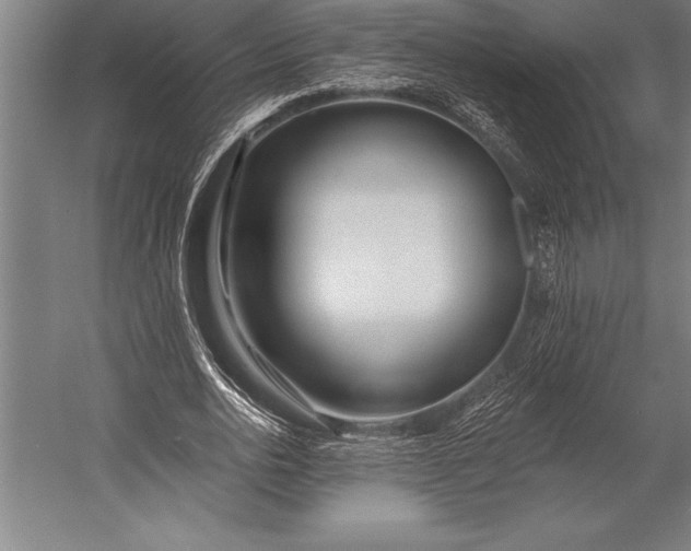 X0000053020726200507221339