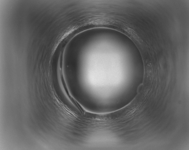 X0000053020727200507221339