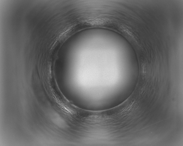 X0000053020733200507221339
