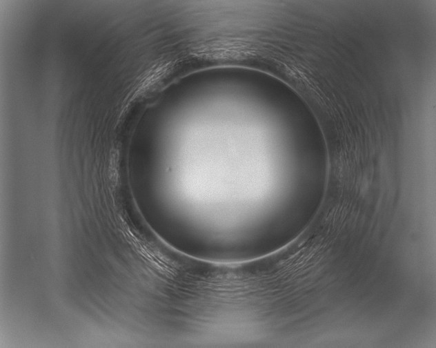 X0000053020735200507221339
