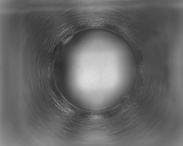 X0000053020741200507221339