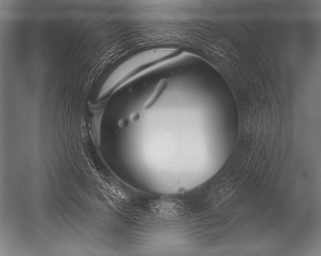 X0000053020743200507221339