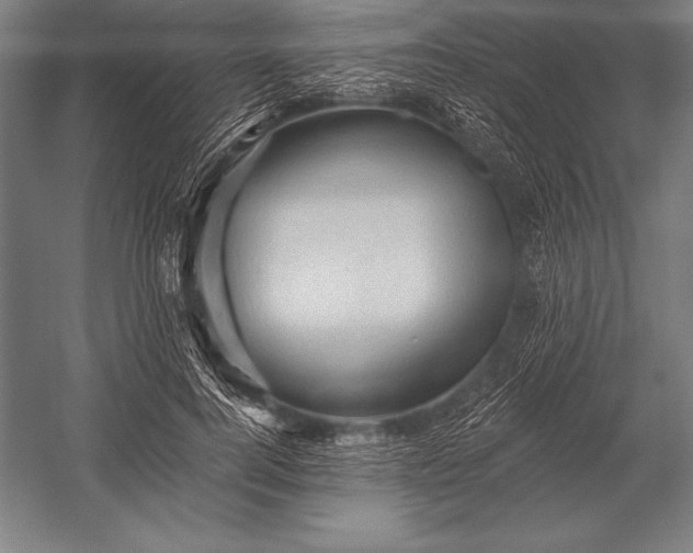 X0000053020744200507221339