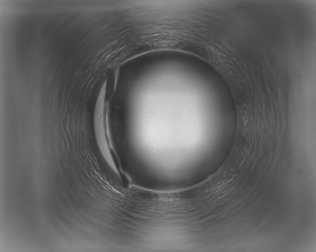 X0000053020745200507221339