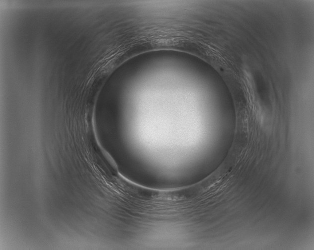 X0000053020746200507221339