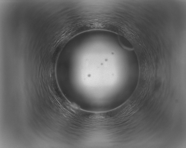 X0000053020747200507221339