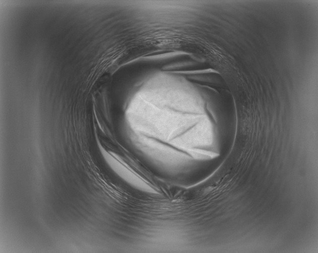 X0000053020748200507221339
