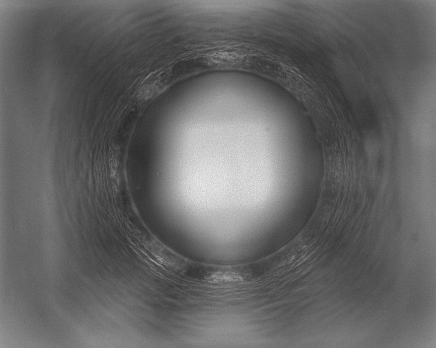 X0000053020749200507221339