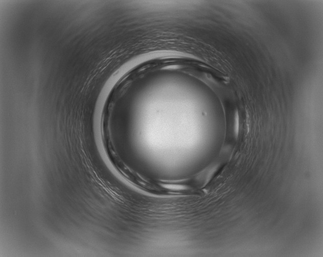 X0000053020750200507221339