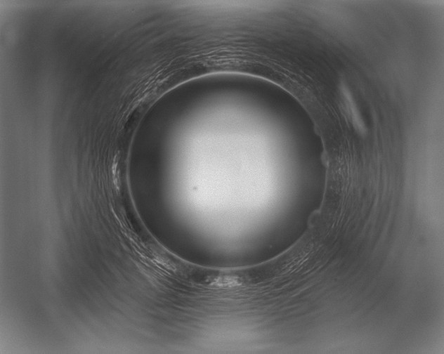 X0000053020751200507221339