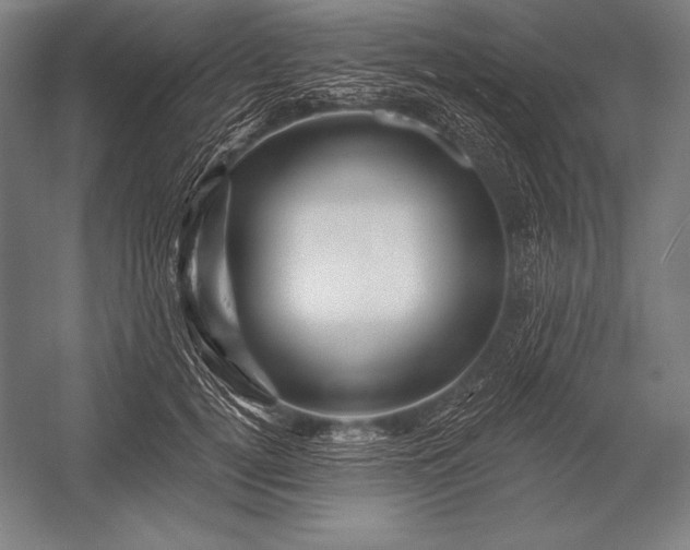 X0000053020752200507221339