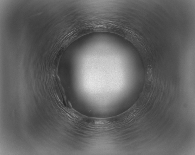 X0000053020753200507221339