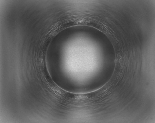 X0000053020754200507221339