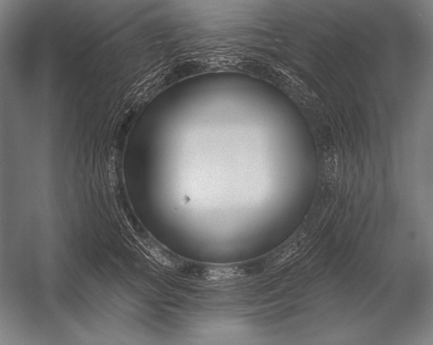 X0000053020757200507221339