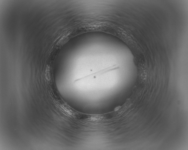 X0000053020758200507221339