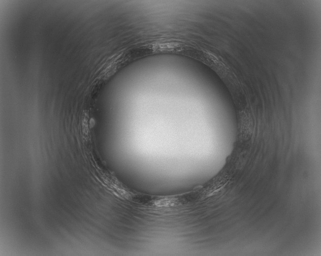 X0000053020761200507221339