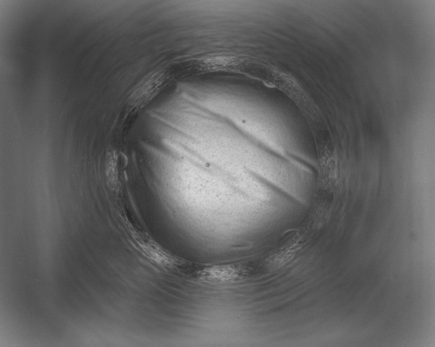 X0000053020765200507221339