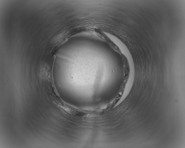 X0000053020766200507221339