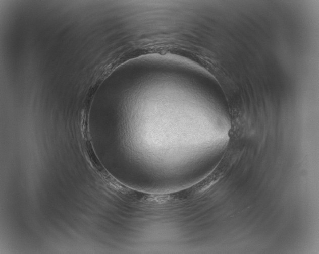 X0000053020767200507221339