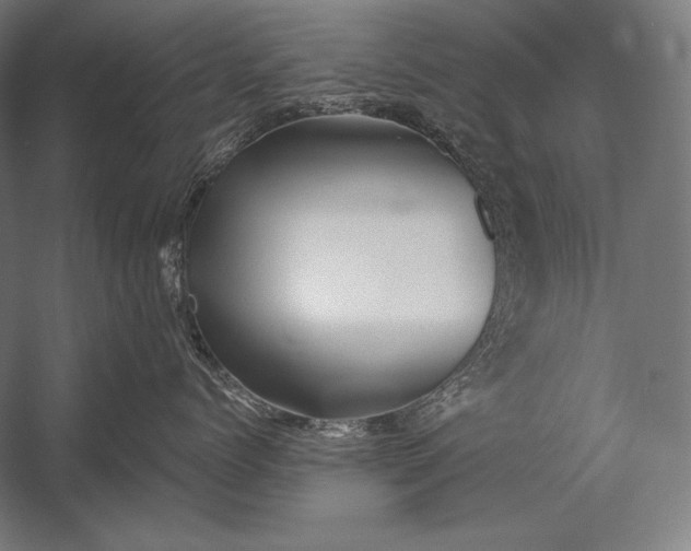 X0000053020768200507221339