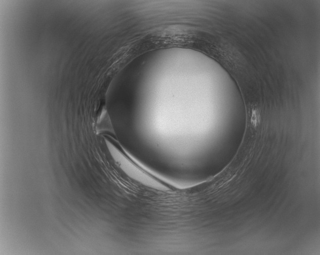 X0000053020771200507221338
