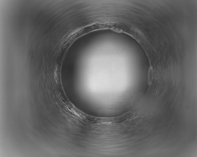 X0000053020773200507221338