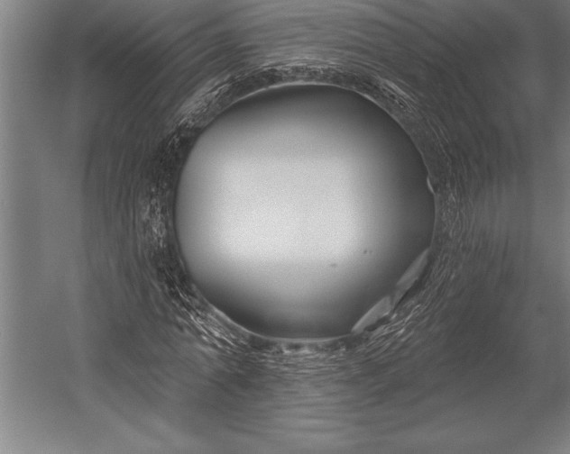 X0000053020774200507221338