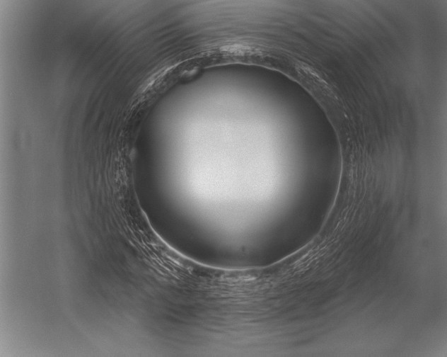 X0000053020776200507221338