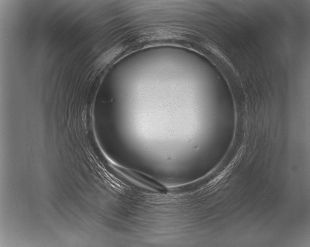 X0000053020777200507221338