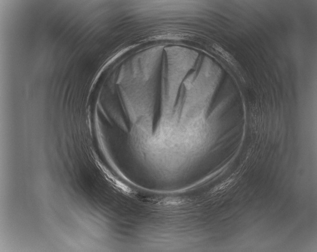 X0000053020779200507221338