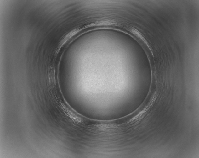 X0000053020781200507221338