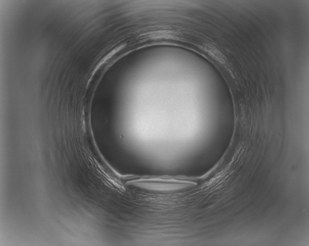 X0000053020782200507221338