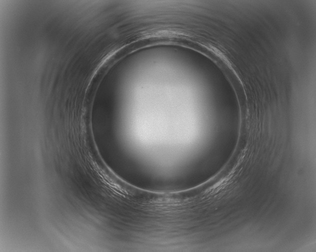 X0000053020783200507221338