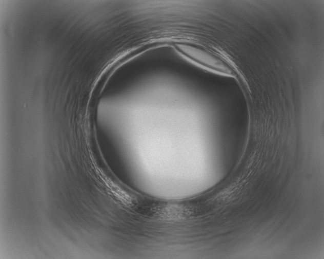 X0000053020787200507221338