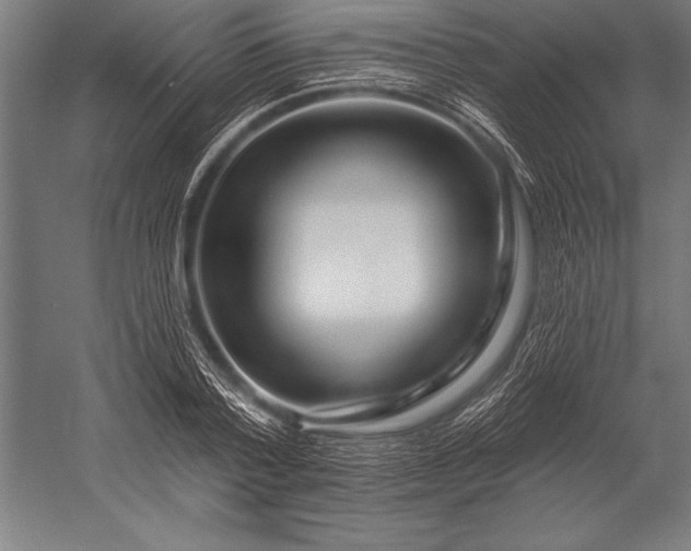 X0000053020788200507221338