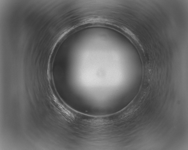 X0000053020791200507221338