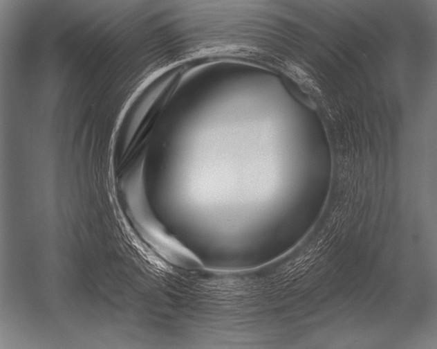 X0000053020792200507221338
