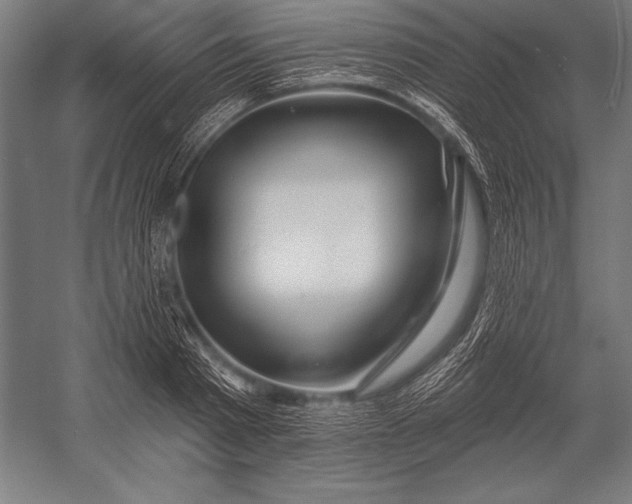 X0000053020793200507221338