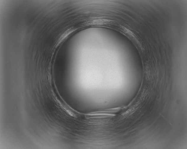 X0000053020794200507221338