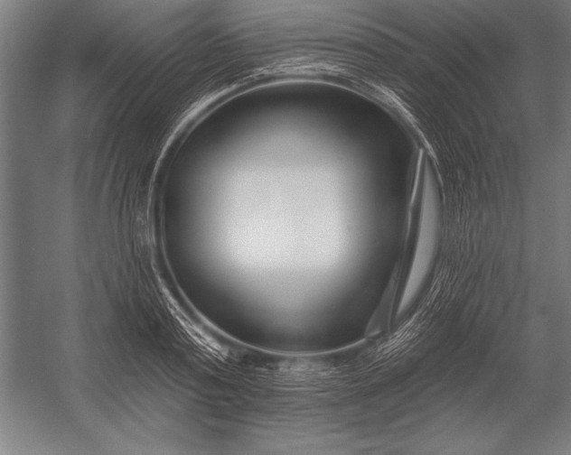 X0000053020795200507221338