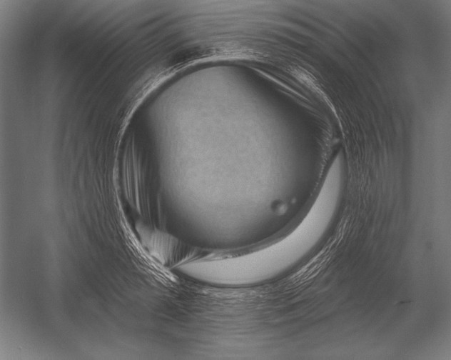 X0000053020797200507221338
