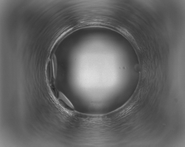 X0000053020798200507221338